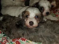 processed/044b2359-d1a1-4952-a7f3-c5df27ce3211/listing/73af89da-0d17-42cd-9378-8413d87b3847/eb8e29dc-43cb-4759-8c63-dafc8f8b287a