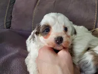 processed/044b2359-d1a1-4952-a7f3-c5df27ce3211/listing/73af89da-0d17-42cd-9378-8413d87b3847/fe42d2eb-1f47-461d-9a23-17e1ec4c9d46