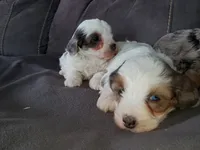 processed/044b2359-d1a1-4952-a7f3-c5df27ce3211/listing/73af89da-0d17-42cd-9378-8413d87b3847/fe466047-9de7-4cda-8c21-184b4e9be430