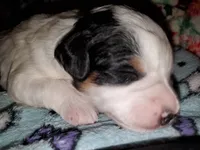 processed/044b2359-d1a1-4952-a7f3-c5df27ce3211/listing/f83fc5a7-decd-413a-bb32-79a856374580/0b796243-3b44-4274-9294-d71e1c6201e2