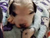 processed/044b2359-d1a1-4952-a7f3-c5df27ce3211/listing/f83fc5a7-decd-413a-bb32-79a856374580/0d2db197-bc27-4bf3-92fd-7e402121741a