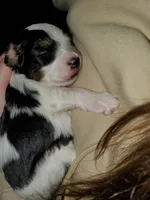 processed/044b2359-d1a1-4952-a7f3-c5df27ce3211/listing/f83fc5a7-decd-413a-bb32-79a856374580/358c9b2d-d778-4ca6-b6ea-2f8b25f88708