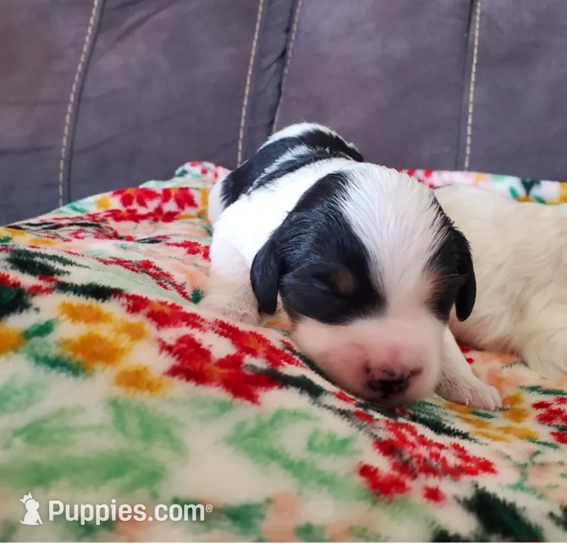 processed/044b2359-d1a1-4952-a7f3-c5df27ce3211/listing/f83fc5a7-decd-413a-bb32-79a856374580/8170dd90-e8e3-48a2-8682-ef12aa59fed5