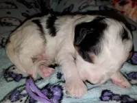 processed/044b2359-d1a1-4952-a7f3-c5df27ce3211/listing/f83fc5a7-decd-413a-bb32-79a856374580/c2d4b602-a96c-4140-922d-426925bafb32