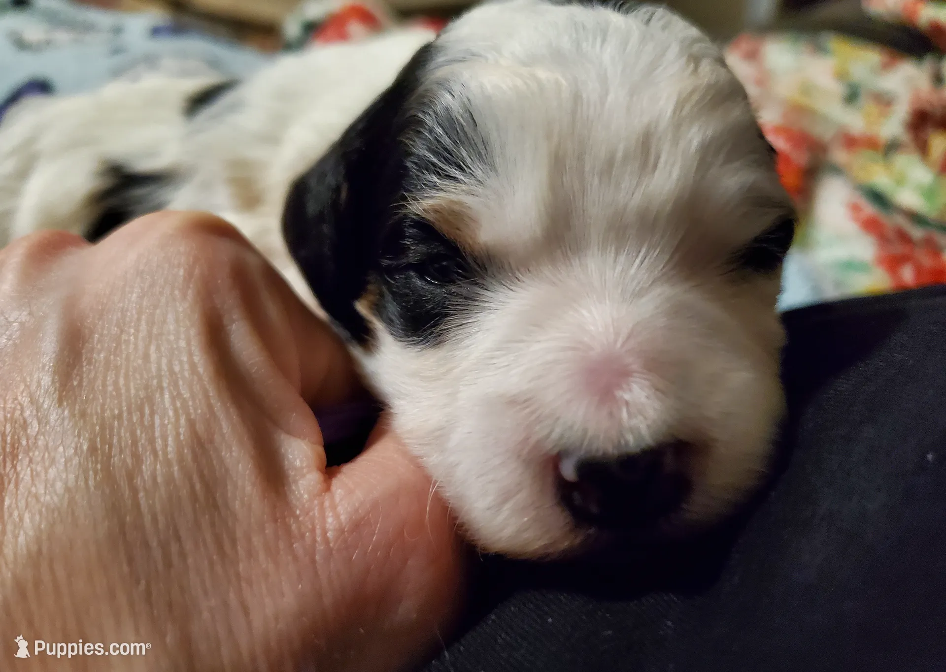 processed/044b2359-d1a1-4952-a7f3-c5df27ce3211/listing/f83fc5a7-decd-413a-bb32-79a856374580/c6e646aa-18f9-451f-9afa-0d53d0080cb2