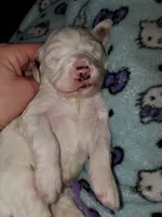 processed/044b2359-d1a1-4952-a7f3-c5df27ce3211/listing/f83fc5a7-decd-413a-bb32-79a856374580/d3abbc17-925a-4a07-a5fe-068f016ba840