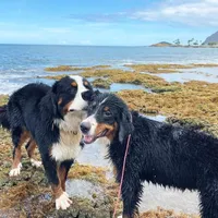 processed/0458dfb4-509b-4288-9aa4-3dc902da5339/facility/188a506e-046f-4727-96a6-7d9d120c8a4d