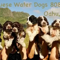 processed/0458dfb4-509b-4288-9aa4-3dc902da5339/facility/2464f6c3-a6a0-46c9-b586-7c3fef574a46