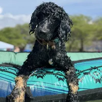 processed/0458dfb4-509b-4288-9aa4-3dc902da5339/facility/30508261-6e96-4252-9016-c4f95b31fc23