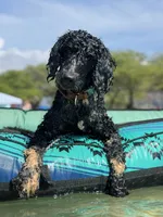 processed/0458dfb4-509b-4288-9aa4-3dc902da5339/facility/30508261-6e96-4252-9016-c4f95b31fc23