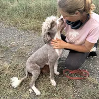 processed/0458dfb4-509b-4288-9aa4-3dc902da5339/facility/3231b298-5c8d-4b29-aca9-53ff5a697fd6