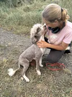 processed/0458dfb4-509b-4288-9aa4-3dc902da5339/facility/3231b298-5c8d-4b29-aca9-53ff5a697fd6