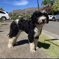 processed/0458dfb4-509b-4288-9aa4-3dc902da5339/facility/65674e67-b962-4b1d-a9f2-aa2c0e4bf875