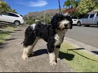 processed/0458dfb4-509b-4288-9aa4-3dc902da5339/facility/65674e67-b962-4b1d-a9f2-aa2c0e4bf875