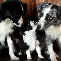 processed/0458dfb4-509b-4288-9aa4-3dc902da5339/facility/8d746d02-e002-4992-806a-70d84bd1356f