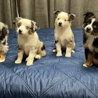 processed/0458dfb4-509b-4288-9aa4-3dc902da5339/facility/d2d875f3-bbeb-4748-b666-a2016bda68a1