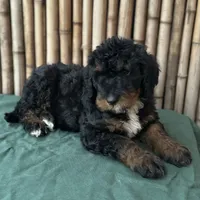 processed/0458dfb4-509b-4288-9aa4-3dc902da5339/listing/2602454a-3685-4a32-833f-73223ef04112/0700a8ef-14e9-4793-b319-da3e196dc834