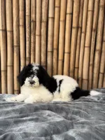 processed/0458dfb4-509b-4288-9aa4-3dc902da5339/listing/387679f3-935e-423b-a896-eb4402caeaac/612017e3-8da6-441b-800e-6a1ff7670ed3