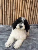 processed/0458dfb4-509b-4288-9aa4-3dc902da5339/listing/387679f3-935e-423b-a896-eb4402caeaac/f687d2ec-96c5-4988-ae9a-d92ef7576c34