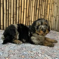 processed/0458dfb4-509b-4288-9aa4-3dc902da5339/listing/42d65960-d9d4-428f-ad9f-516c6ed7ff64/26c4ba18-9b0d-4bd1-849d-302c6b2bc05d