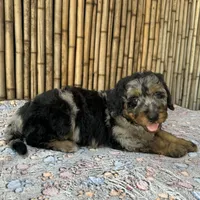 processed/0458dfb4-509b-4288-9aa4-3dc902da5339/listing/42d65960-d9d4-428f-ad9f-516c6ed7ff64/6dde7b98-91d4-49d6-925d-31e429574eca