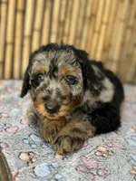 processed/0458dfb4-509b-4288-9aa4-3dc902da5339/listing/42d65960-d9d4-428f-ad9f-516c6ed7ff64/c847e999-47be-416e-b467-0df5db0e5ecf