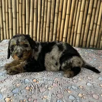 processed/0458dfb4-509b-4288-9aa4-3dc902da5339/listing/42d65960-d9d4-428f-ad9f-516c6ed7ff64/d3148001-04c1-448b-8489-c15b1e5bff9b