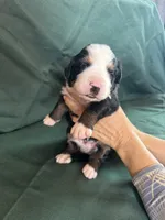 processed/0458dfb4-509b-4288-9aa4-3dc902da5339/listing/629103b5-2f67-4be0-bab8-4fb02a064e37/30bcec20-96d5-465d-a445-82b7f9bb82d4