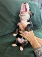 processed/0458dfb4-509b-4288-9aa4-3dc902da5339/listing/629103b5-2f67-4be0-bab8-4fb02a064e37/b4cbccf6-a096-4f6e-b0f6-a5bb37685252