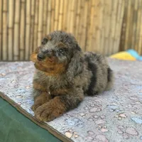 processed/0458dfb4-509b-4288-9aa4-3dc902da5339/listing/74cf4dd2-60f7-4d90-90fe-9e3f08b57944/243e435f-71ac-4bf3-8231-ff038bd1d370