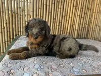 processed/0458dfb4-509b-4288-9aa4-3dc902da5339/listing/74cf4dd2-60f7-4d90-90fe-9e3f08b57944/51e559fc-4508-4daa-a9d5-ecda1d51aa3e