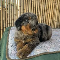 processed/0458dfb4-509b-4288-9aa4-3dc902da5339/listing/74cf4dd2-60f7-4d90-90fe-9e3f08b57944/6fdcdf55-b7a8-4f08-8254-6f28344e4e44