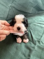 processed/0458dfb4-509b-4288-9aa4-3dc902da5339/listing/7e105bc4-3c10-4aca-82dd-6f81ace9c472/073452e4-a5de-4bac-a1a4-582bfad1d6ea