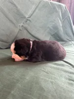 processed/0458dfb4-509b-4288-9aa4-3dc902da5339/listing/7e105bc4-3c10-4aca-82dd-6f81ace9c472/21f58723-9470-41c1-994e-24975a7f0227