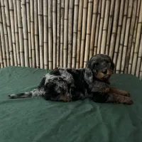 processed/0458dfb4-509b-4288-9aa4-3dc902da5339/listing/90074b8e-cd29-42eb-b208-f3fc897ccfa5/cee29627-d788-4e95-9c35-83f0e17959e0