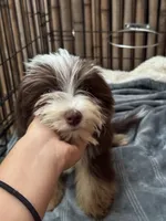 processed/0458dfb4-509b-4288-9aa4-3dc902da5339/listing/96358e29-813f-4021-8103-a88dede5cdaf/4246a781-f186-403e-8305-0ea5531ad8ad