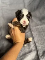 processed/0458dfb4-509b-4288-9aa4-3dc902da5339/listing/96358e29-813f-4021-8103-a88dede5cdaf/8bd78115-f953-499a-a491-0dfeebe3a57b