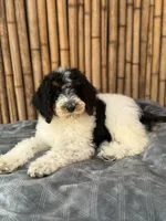 processed/0458dfb4-509b-4288-9aa4-3dc902da5339/listing/aa9fbeba-ba28-4cef-8b06-d9beee267cdb/14942b64-d635-44c4-9fb1-7dc70f7f9936