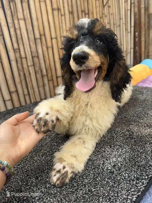 Training  included OAHU