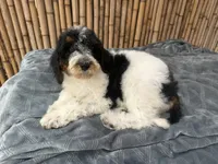 processed/0458dfb4-509b-4288-9aa4-3dc902da5339/listing/aa9fbeba-ba28-4cef-8b06-d9beee267cdb/d1a71fdc-18cf-4daf-a161-34c822878868