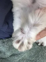 processed/0458dfb4-509b-4288-9aa4-3dc902da5339/listing/aa9fbeba-ba28-4cef-8b06-d9beee267cdb/dd00dad4-3fe7-405b-887c-11ebf3fda766