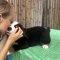 processed/0458dfb4-509b-4288-9aa4-3dc902da5339/listing/c2f88c1e-e134-4ff6-a069-a4d15cd64493/bf227625-1261-4f44-9d9f-2a7ae012cbb4