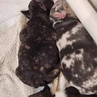 processed/045d1614-62df-4403-adac-3f1baf8241eb/facility/20ac02ca-9889-423e-9591-40d2dda79b6e