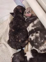 processed/045d1614-62df-4403-adac-3f1baf8241eb/facility/20ac02ca-9889-423e-9591-40d2dda79b6e