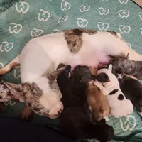 processed/045d1614-62df-4403-adac-3f1baf8241eb/facility/2d41f829-5290-4db9-b611-047a6f6e7034