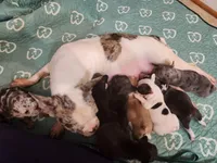 processed/045d1614-62df-4403-adac-3f1baf8241eb/facility/2d41f829-5290-4db9-b611-047a6f6e7034