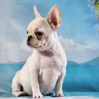 processed/045d1614-62df-4403-adac-3f1baf8241eb/facility/57b96eea-3210-4e58-abbf-34d24f9fdc0f