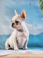 processed/045d1614-62df-4403-adac-3f1baf8241eb/facility/57b96eea-3210-4e58-abbf-34d24f9fdc0f