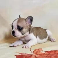 processed/045d1614-62df-4403-adac-3f1baf8241eb/facility/66cc13cb-ad58-4740-acc0-6223d5830e12