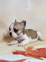 processed/045d1614-62df-4403-adac-3f1baf8241eb/facility/66cc13cb-ad58-4740-acc0-6223d5830e12